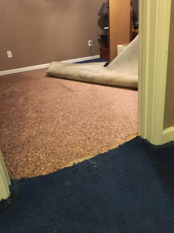 Carpet pad removal revealing water damage during Water Mitigation Services in Donna