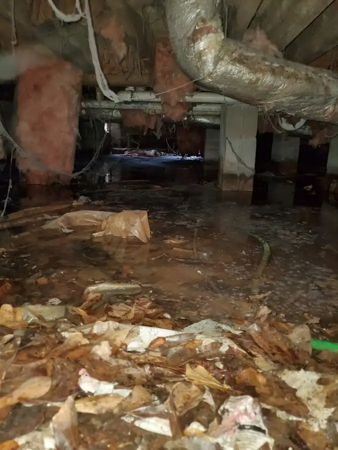 Crawl space flood assessment for Leak Detection & Repair in Donna