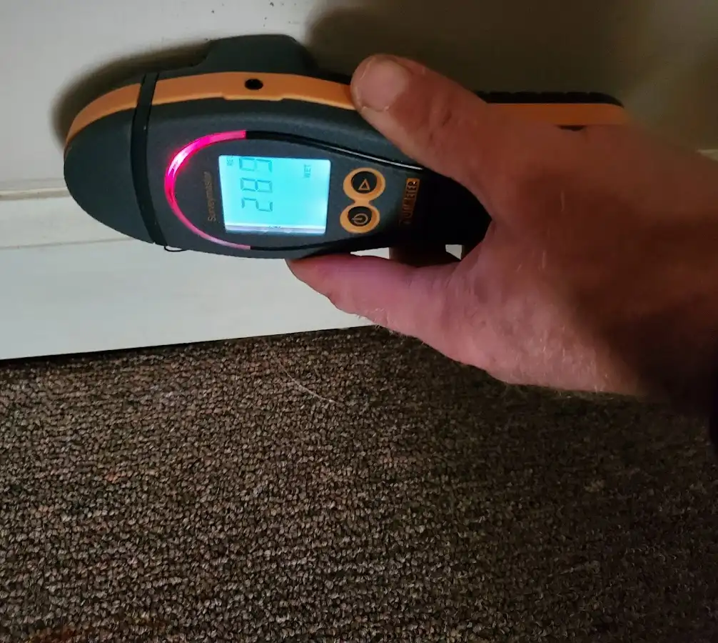 Moisture detection at baseboard during Storm Damage Restoration in Donna