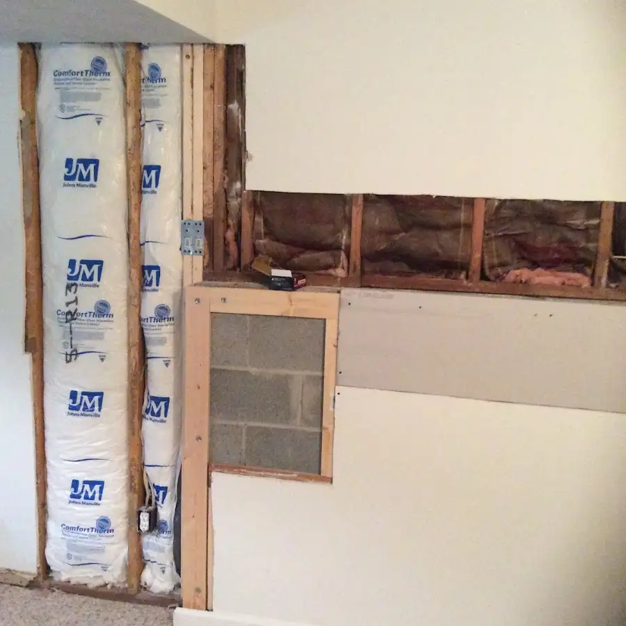 Wall insulation replacement during Odor Removal & Deodorization in Donna